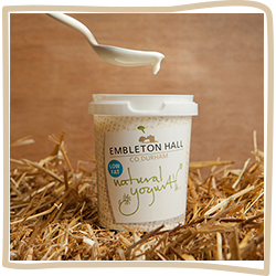 Dairy Products - Natural Yoghurt